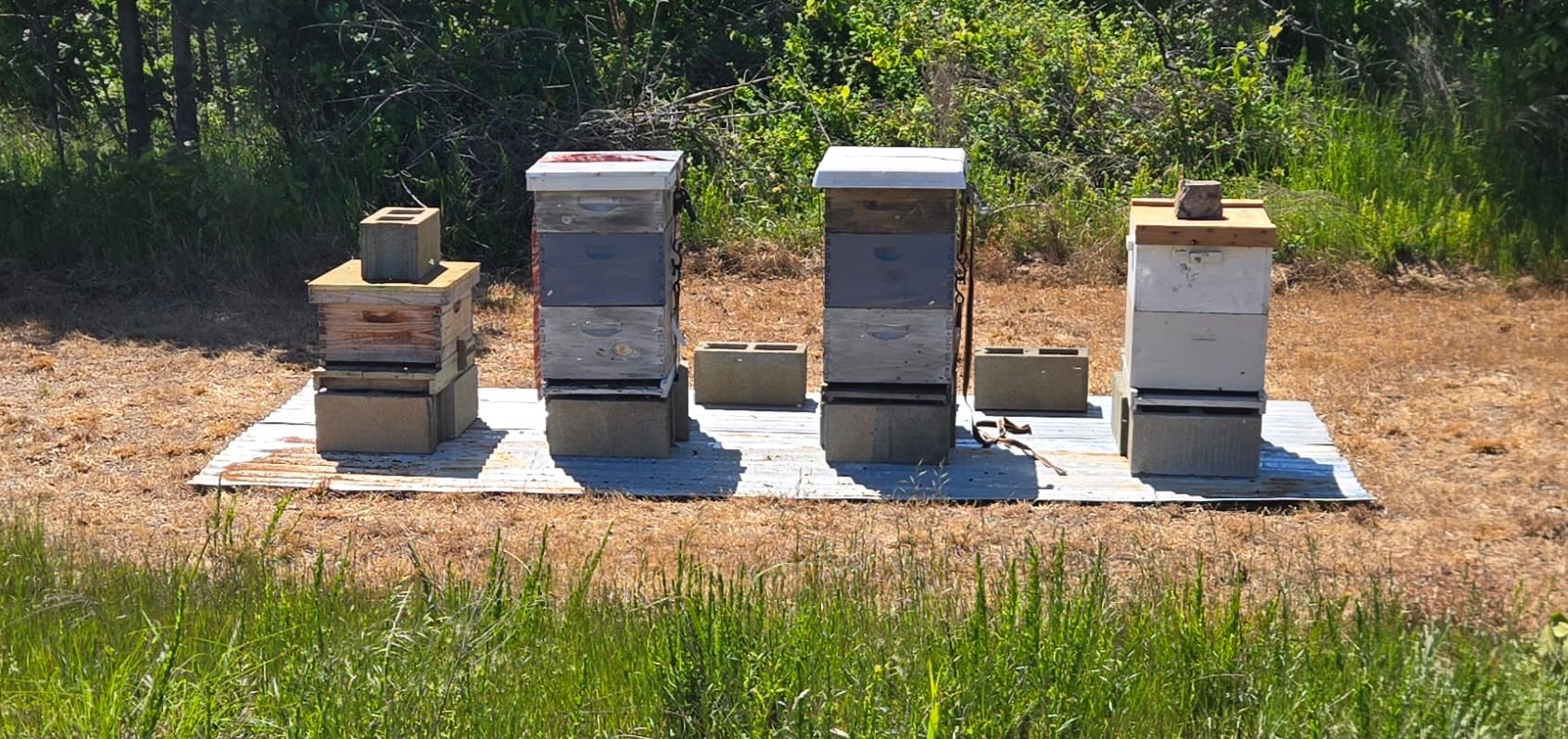 Lets make some honey!